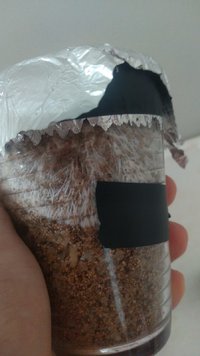 foto dia 7 2.jpeg