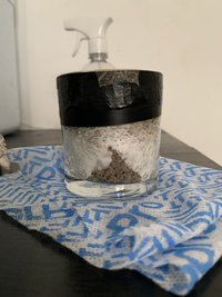 IMG_7570.jpg