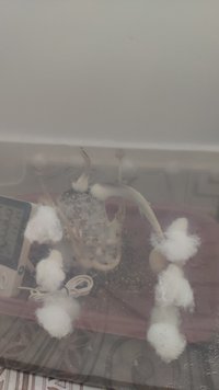 IMG_20220302_143503.jpg