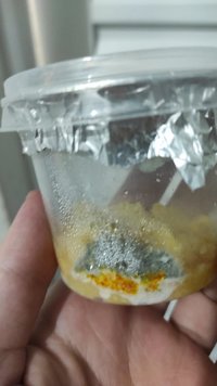 Contaminação 1.jpeg