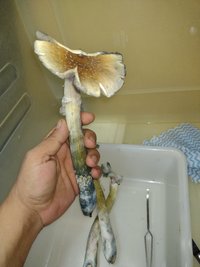IMG_20220406_142123124.jpg