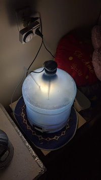 IMG_20220406_181614.jpg
