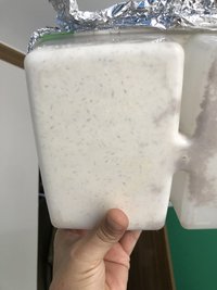 2B6B47FC-0022-4C75-9BE1-E9F8D42FA208.jpeg