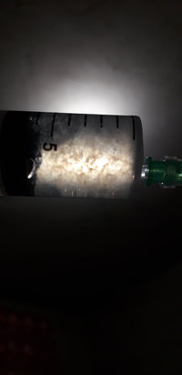 20220410_002819.jpg