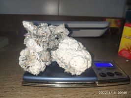 IMG_20220415_004649.jpg