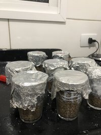 106E8907-F0F2-47D1-AD13-52A49E5A90AF.jpeg