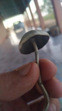 IMG-20220505-WA0031.jpeg