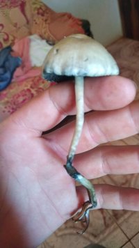 IMG-20220503-WA0048.jpeg