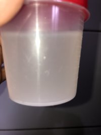 B17B6967-B007-4043-858B-D6F6635BCB64.jpeg