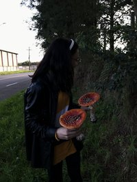 3FED301D-4E1B-480A-B38A-67485D4B06F4.jpeg