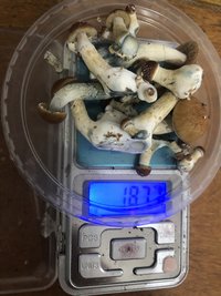 C29E3C21-E5D9-460A-8CF3-9129962E97C8.jpeg