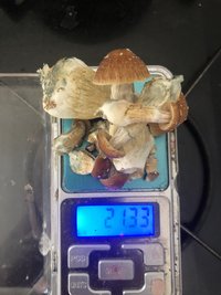 2C6AD359-19D1-435D-A0D6-A7B7BEB98C30.jpeg