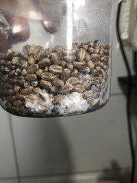 02017153-E65F-4C6F-B3D6-2741B7693614.jpeg