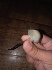 20220529_172557.jpg