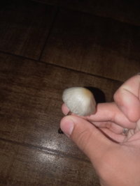 20220529_172610.jpg