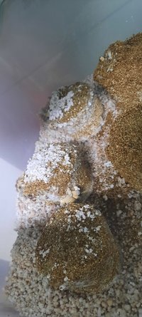 20220608_235337.jpg