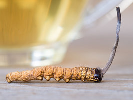 istockphoto-1086357178-170667a.jpg