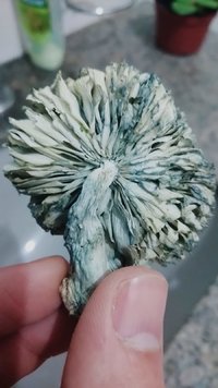 flush2_03.jpeg