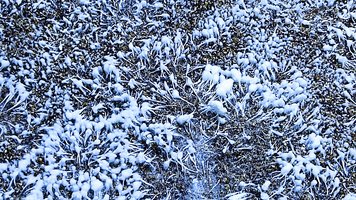 IMG_20220718_191027.jpg