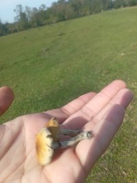 20220724_104217656.jpg