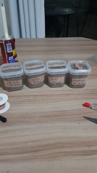 20220730_030343.jpg