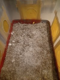 IMG_20220801_162103401.jpg