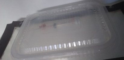 20220901_155327.jpg