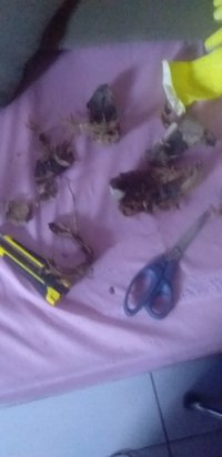 20220901_161125.jpg