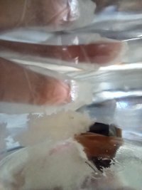 IMG_20220907_111925_499.jpg