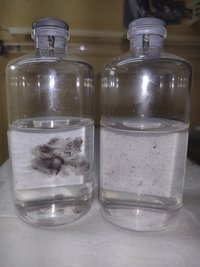 IMG_20220914_012449690.jpg
