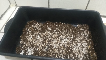 Meu primeiro monotube - Golden Halo