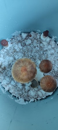 IMG_20220919_074716.jpg