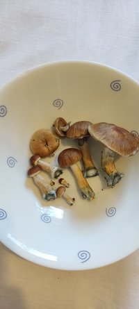 IMG_20220919_080920.jpg