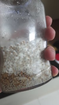 IMG-20220922-WA0006.jpeg