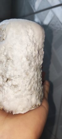 IMG_20221011_164853.jpg