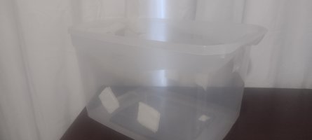 IMG_20221017_065756669.jpg