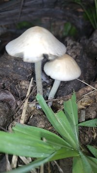 IMG_20221011_221239.jpg