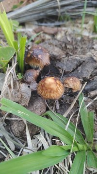 IMG_20221017_173108.jpg