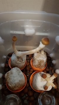 20221028_141701.jpg