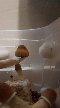 20221028_141712.jpg