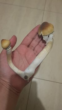 20221028_221425.jpg