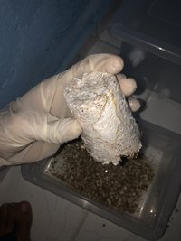 57038C8E-9329-43C6-A037-B3314707C6F9.jpeg