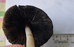 E1F4.jpg