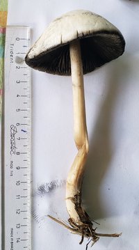 E1F5.jpg