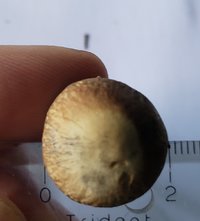 E2F6.jpg