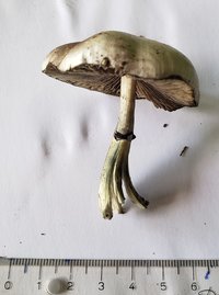 E3F04.jpg