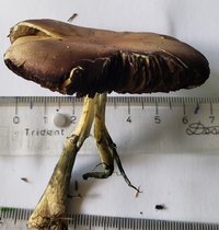 E3F06.jpg