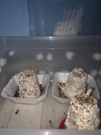 35FE4996-E004-468D-A8FC-D09542283508.jpeg