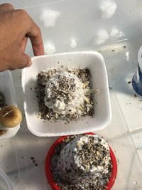 97C0BE8D-6F25-46D3-AD82-69FB39CA78E1.jpeg
