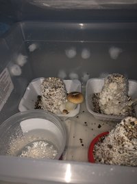 00907625-6E0C-493E-878C-8D1FE988DF8D.jpeg